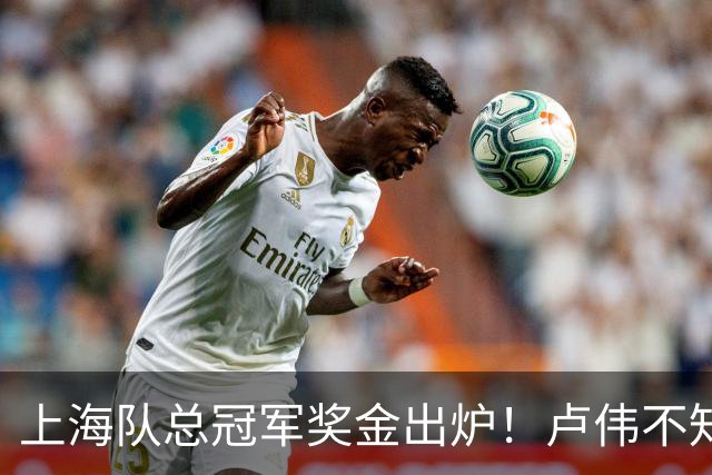 上海队总冠军奖金出炉！卢伟不知道怎么分，张镇麟和王哲林谁多
